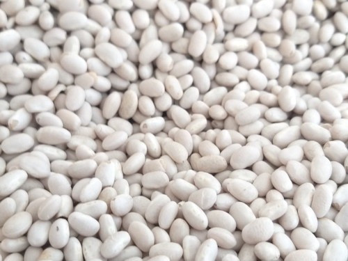 Купуємо білу квасолю (переробник) Полтава - зображення 1