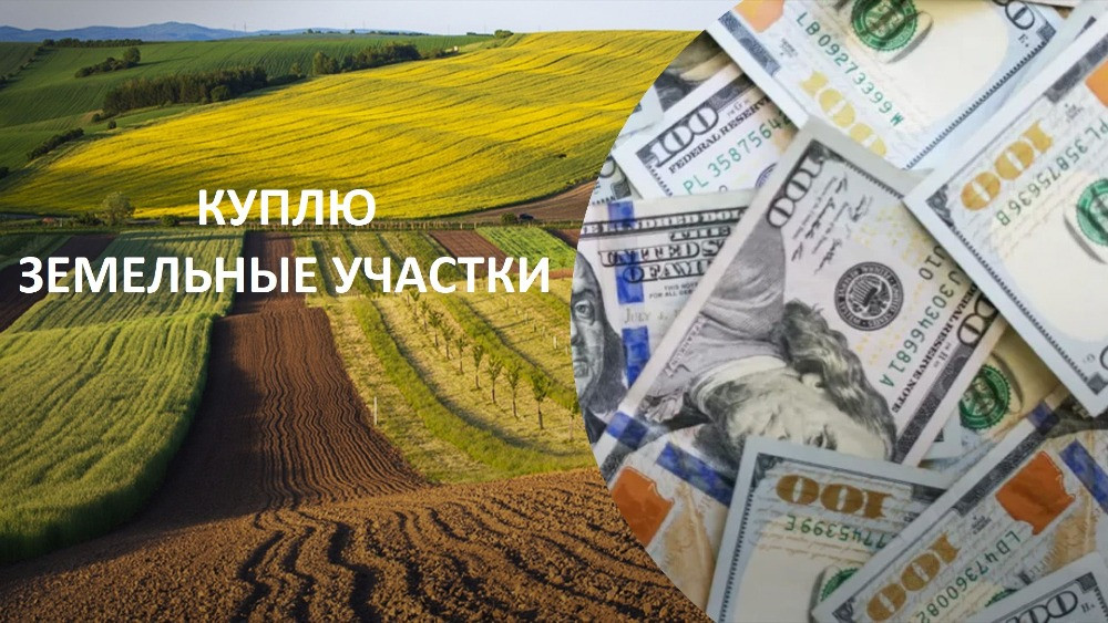Куплю земли в Киеве и пригороде у собственника Киев - изображение 1