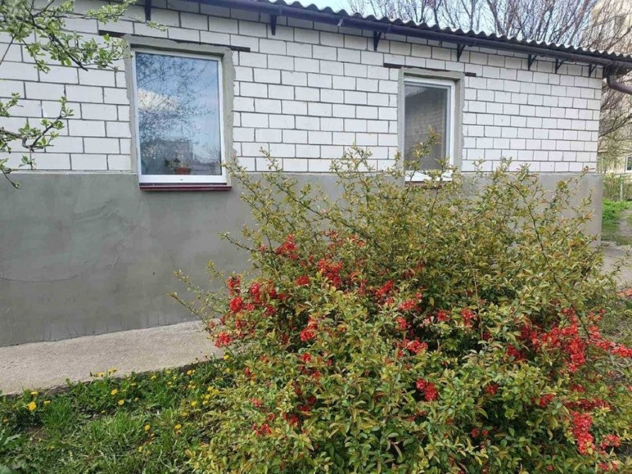 Продаж будинку смт Баришівка, центр 3 кімн., 67 кв.м., 11 соток Баришівка - зображення 4