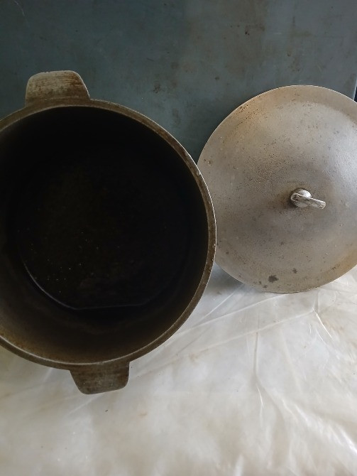 гусятниця Тернопіль - зображення 2