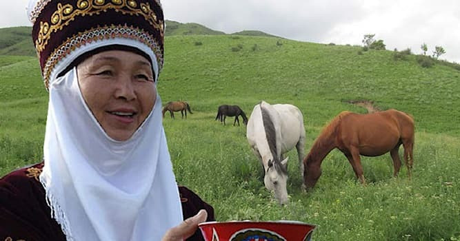 Оптом и в розницу молоко домашнее и кумыс с фазенды в Алматы Вінниця - зображення 1