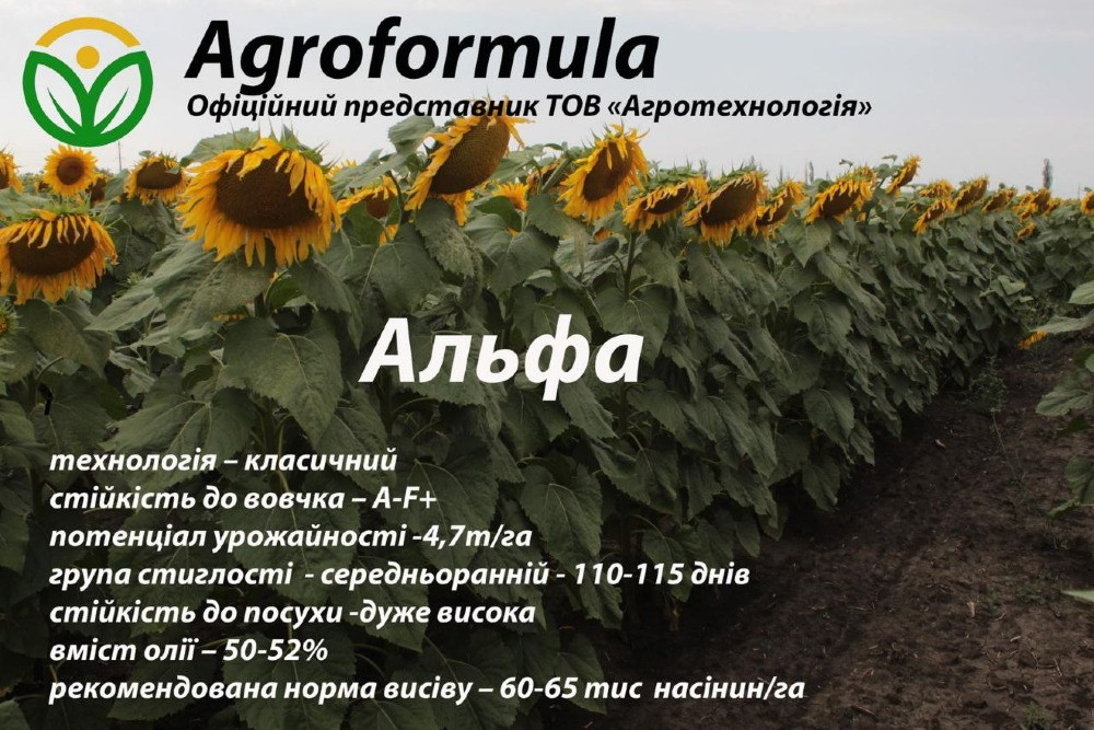 Торгова марка Агроформула пропонує вам насіння, мінеральні та мікродобрива, ЗЗР Миргород - зображення 7