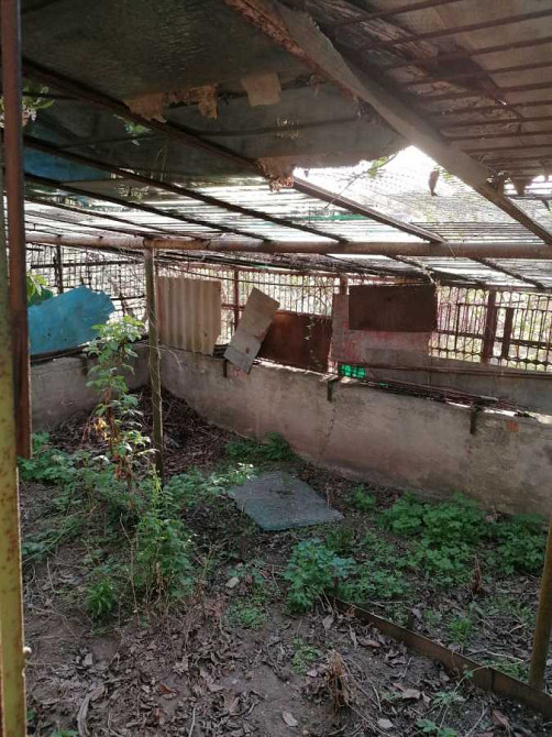 продажа 2-к дача Белоцерковский, Белая Церковь, 11000 $ Біла Церква - зображення 3