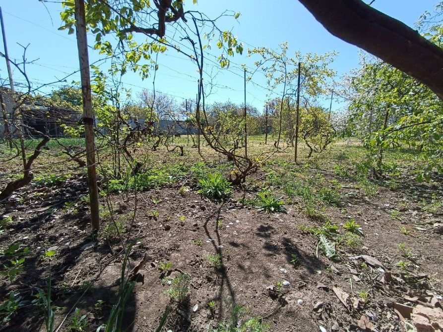 2 дома на участке 20 соток Одеса - зображення 3