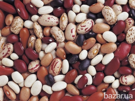 Фасоль с доставкой. Любые объемы Кропивницкий - изображение 1