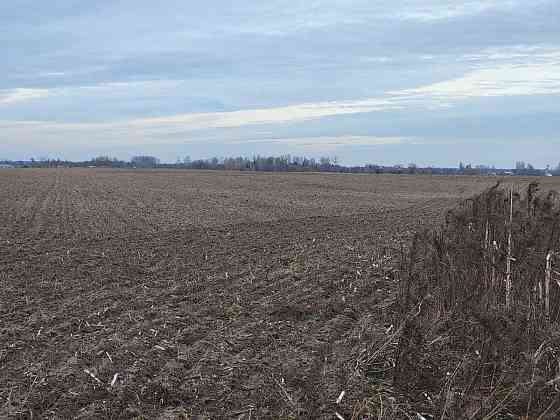 продажа земля сельскохозяйственного назначения Макаровский, Мотыжин, 1167000 грн. 