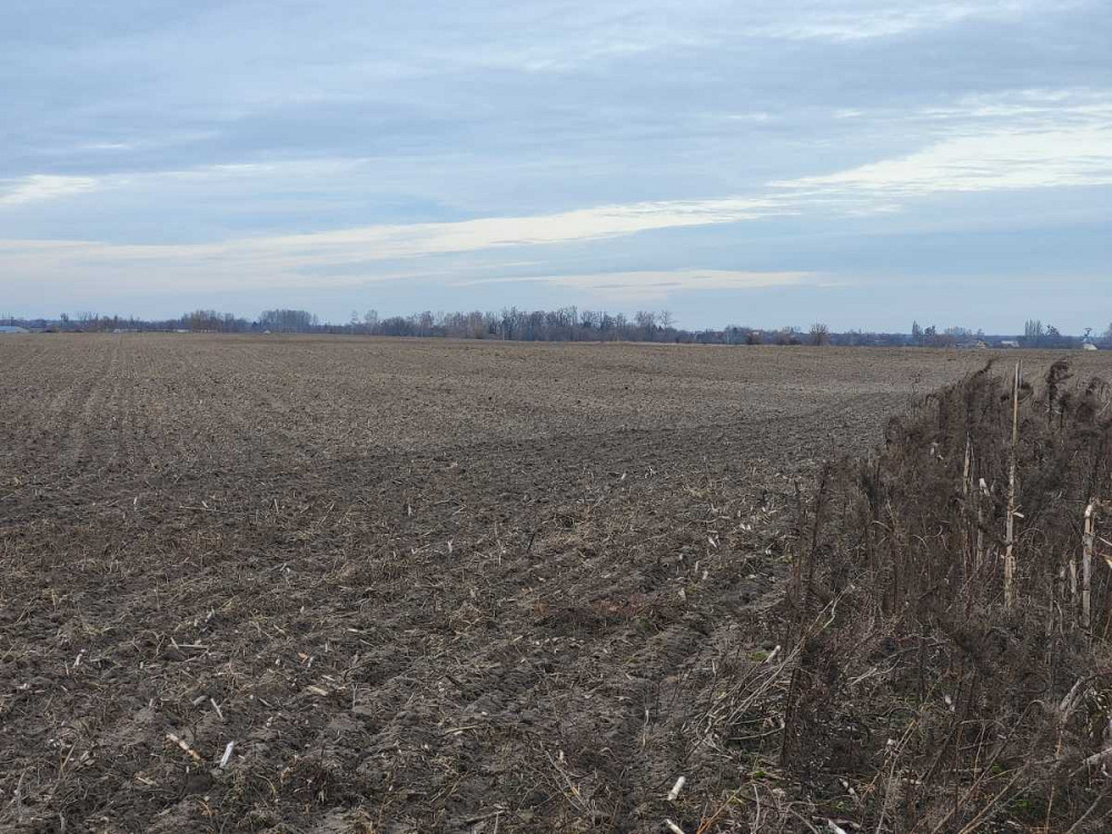 продажа земля сельскохозяйственного назначения Макаровский, Мотыжин, 1167000 грн.  - изображение 4