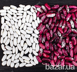 Фасоль продажа крупный, мелкий опт Черкассы - изображение 1