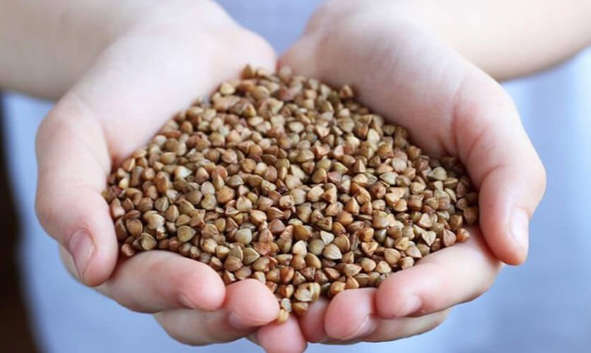 Гречиха оптом від виробника Київ - зображення 1