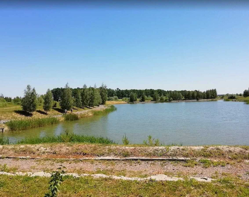 продажа 3-к дом Макаровский, Колонщина, 85000 $  - зображення 2