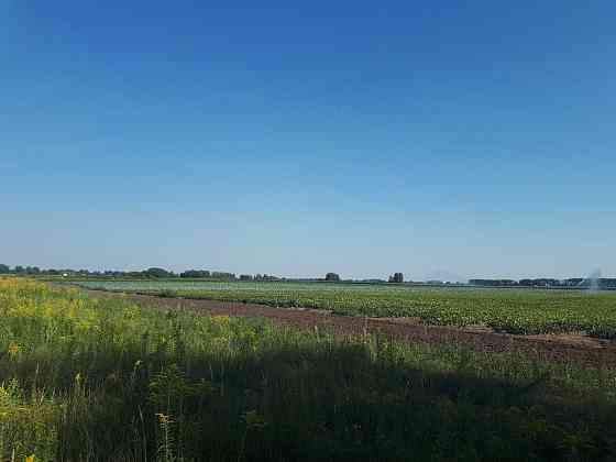 продажа земля сельскохозяйственного назначения Бориспольский, Сеньковка, 1302000 грн. 