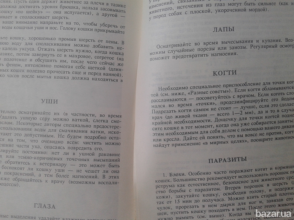 КОШКИ ("Вечные,священные,неприкосновенные") Нікополь - зображення 7