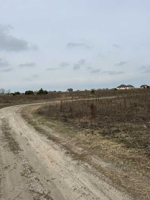 продажа участок под жилую застройку Броварский, Рожевка, 16000 $  - изображение 7