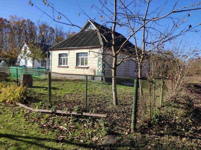 Продам дом в с. Шамраевка, Киевская область Біла Церква - зображення 1