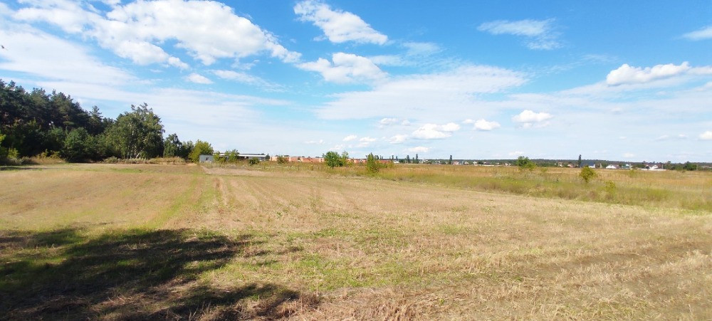 Продаж ділянки у с. Лебедівка поруч з каналом. Вишгород - зображення 5