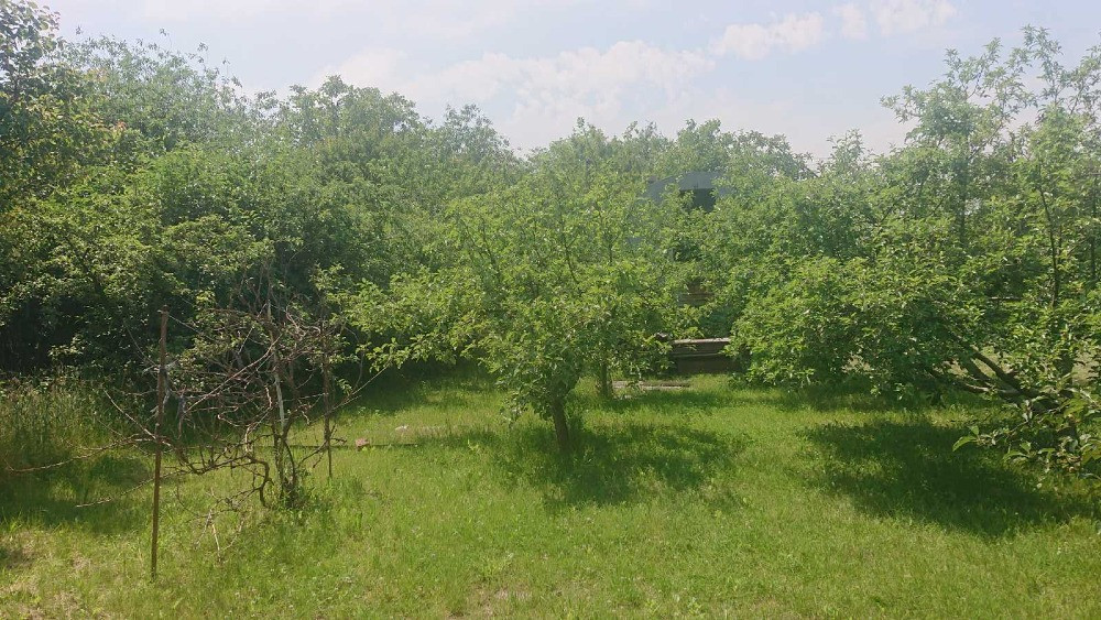 Продам дві приватизовані земельні ділянки, с. Трушки. Біла Церква - зображення 8