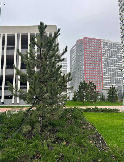 продажа 3-к квартира Киев, Подольский, 129000 $ Київ - зображення 8