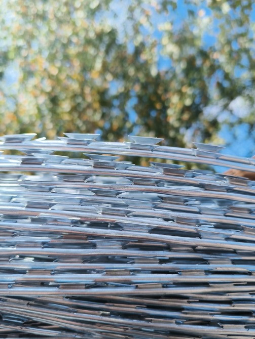 колюче-ріжуче загородження «Єгоза-Статус» Житомир - изображение 3