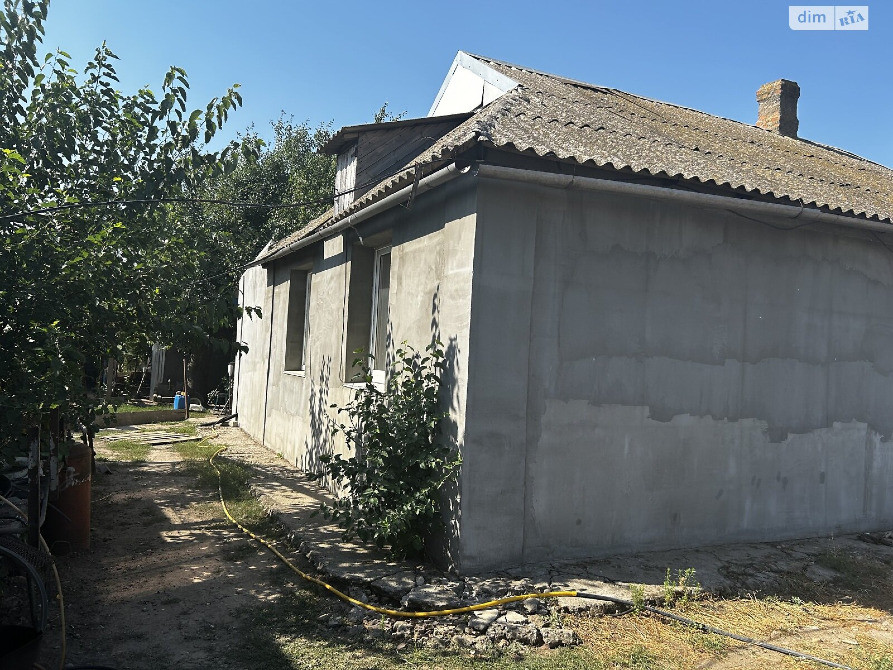 Приватний будинок в с. Шевченко, Миколаївської області Николаев - изображение 4