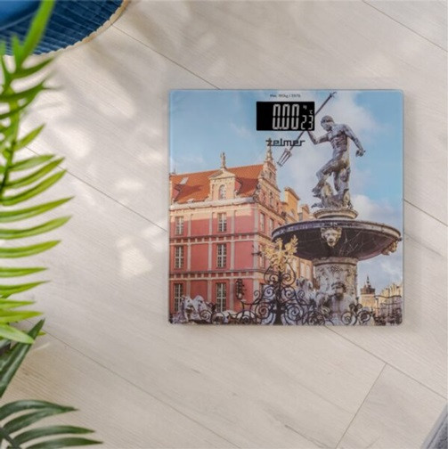 Весы напольные ZELMER ZBS1011 180 кг Київ - зображення 8