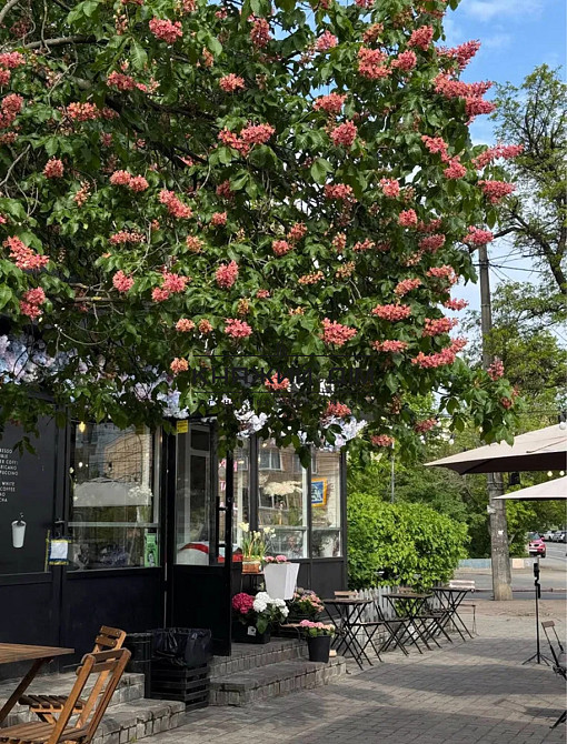 Продаж 1кімнатної квартири студії метро “Звіринецька” – 8 хвилин пішки код № 21147315 Київ - зображення 9