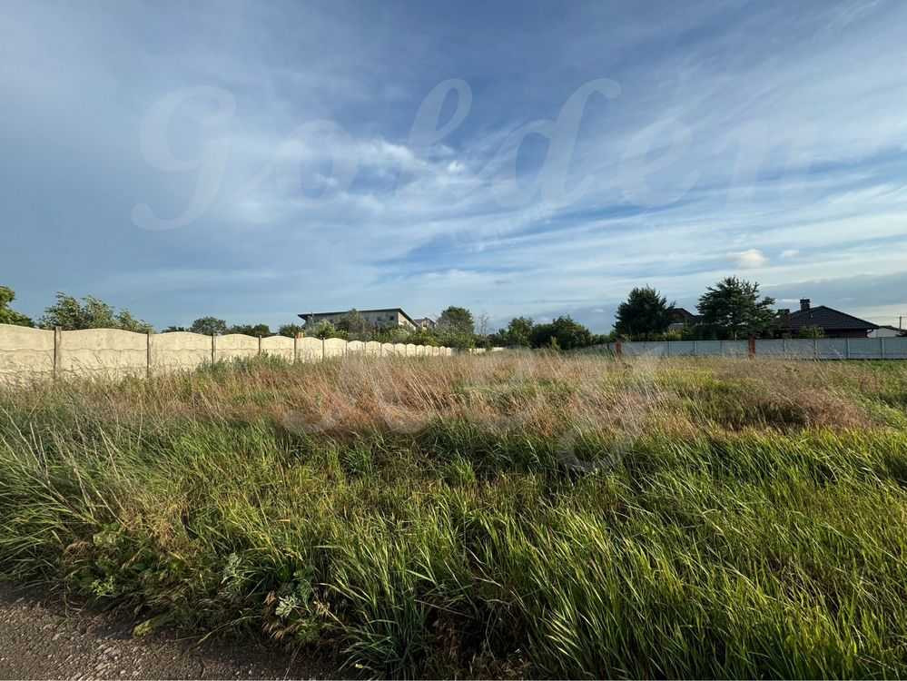 продажа участок под жилую застройку Бориспольский, Великая Александровка, 26000 $  - зображення 4