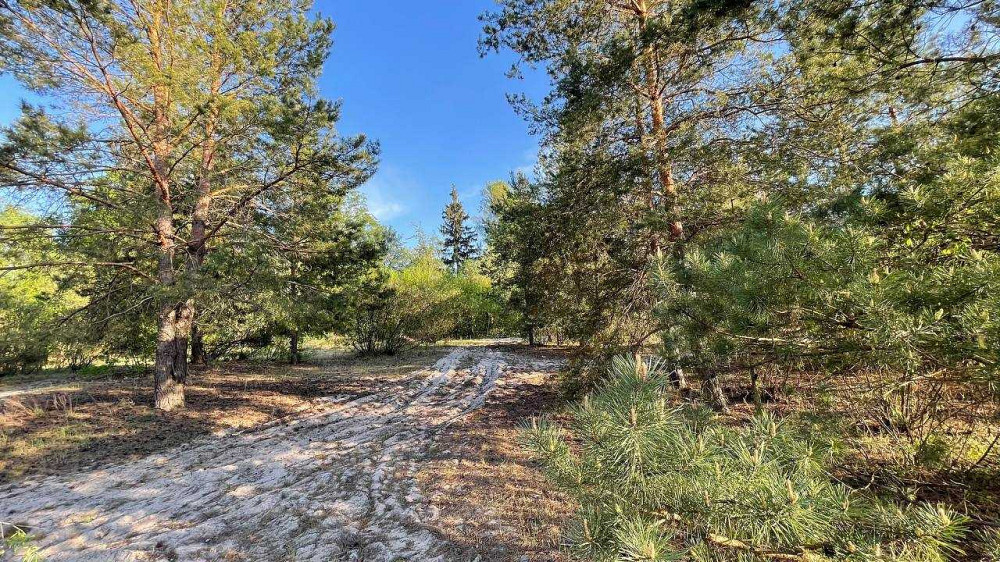 продажа база отдыха, пансионат Броварский, Погребы, 850000 $  - зображення 9