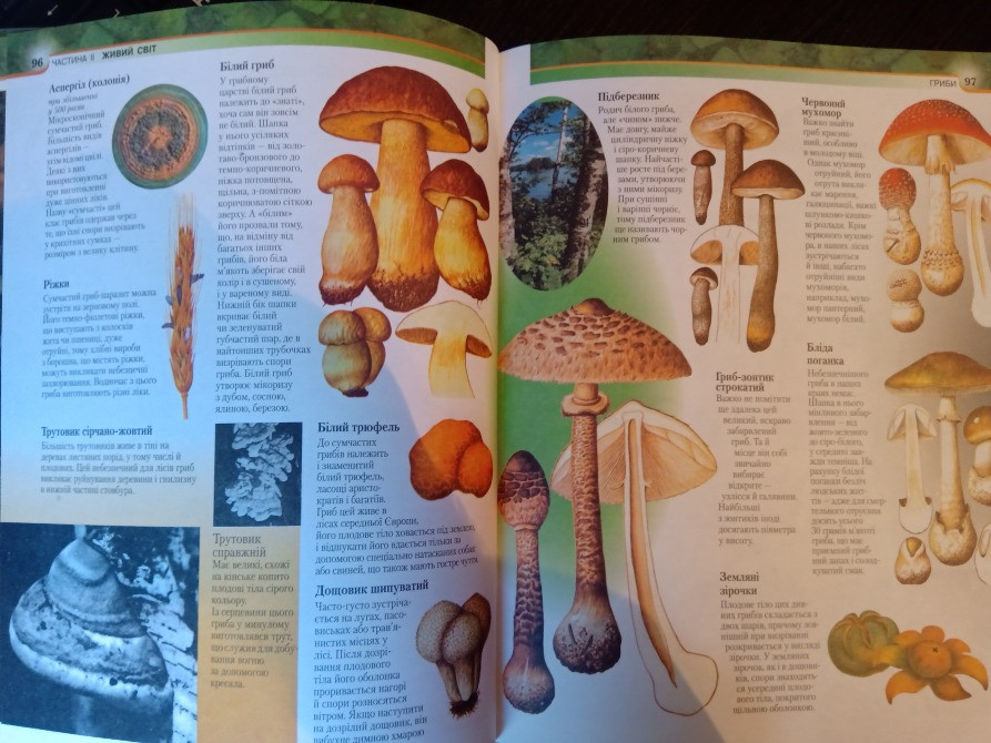 Велика ілюстрована енциклопедія. Львов - изображение 2