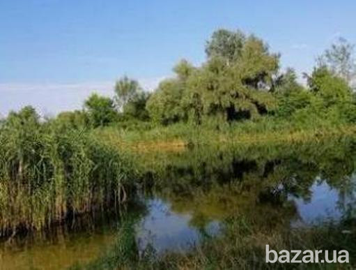 Продам дачу в г. Днепр (Партизанское), с/т "Акация-2" Дніпро - зображення 6