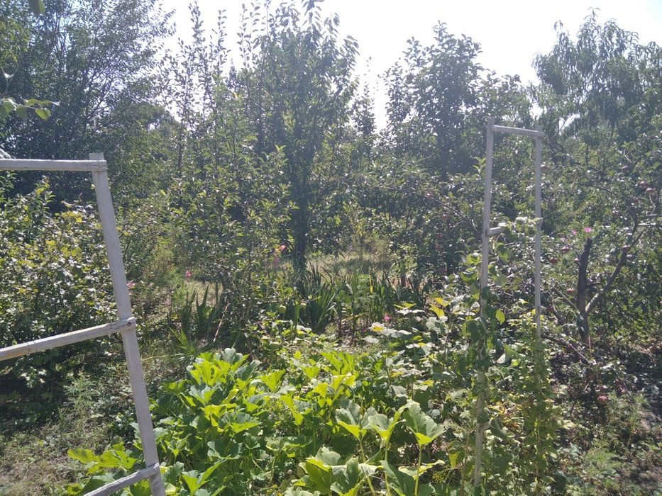 Продам. Дачу 20 м.кв. 6,7 сот. Шевченка. вул. Кадрова 2-Д. ДО "Самара" Днепр - изображение 6