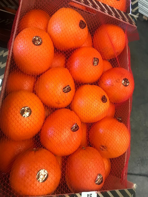 Продаем апельсины Киев - изображение 2