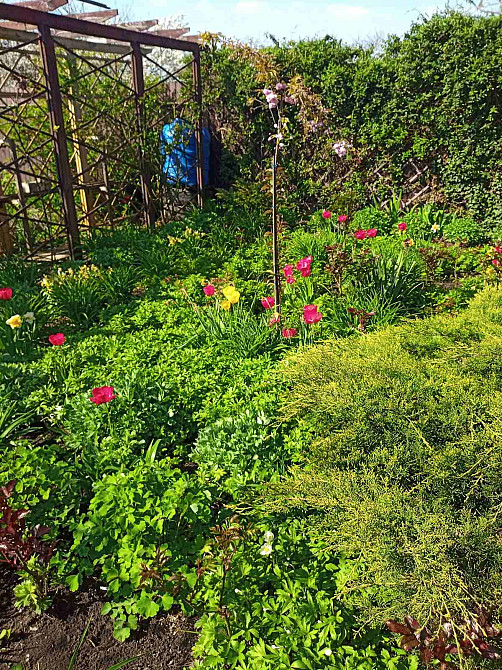 Продам будинок на березі лиману. Одесса - изображение 2