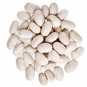 Куплю фасоль оптом. Закупаем фасоль белых сортов. Тернопіль