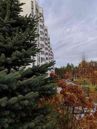 продажа 1-к квартира Киево-Святошинский, Гостомель, 36000 $ Гостомель