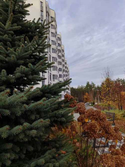 продажа 1-к квартира Киево-Святошинский, Гостомель, 36000 $ Гостомель - зображення 2