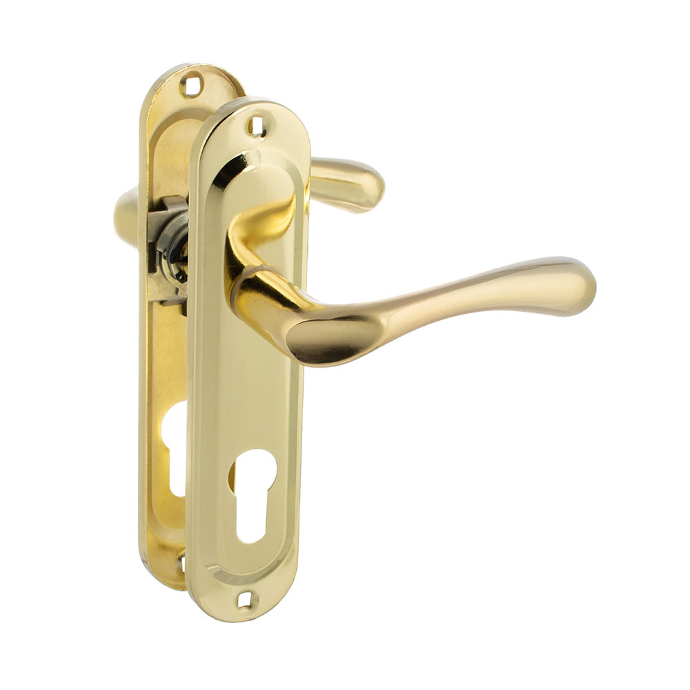 Ручка FZB под замок Fuaro ET-6540 тяжелая  62мм GP Золото Винница - изображение 1