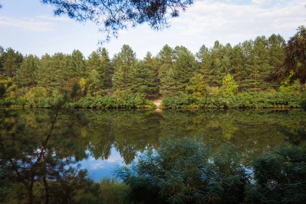 Ділянка під будівництво 34 сотки з лісом Вишгород - зображення 1