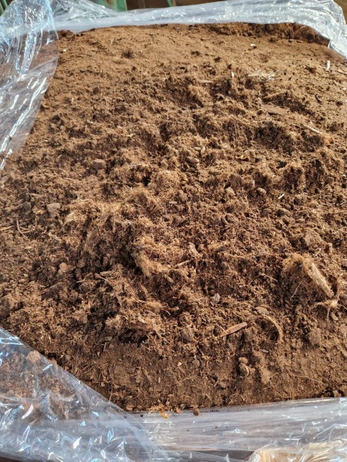 Торф - оптом Львов - изображение 1