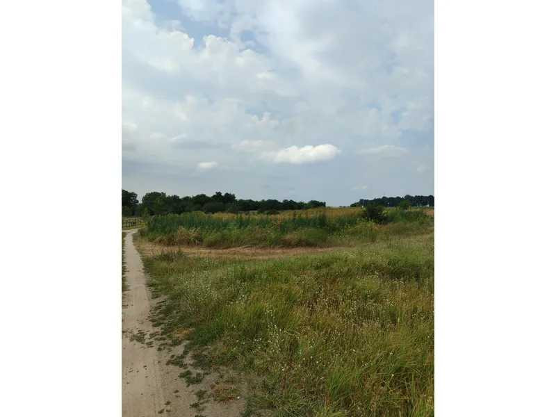 продажа земля сельскохозяйственного назначения Бородянский, Лубянка, 11893757 грн.  - зображення 9