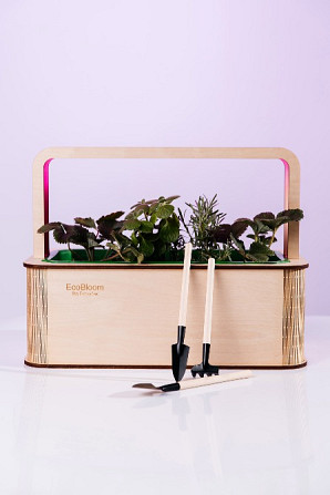 EcoBloom Smart Garden Розумний сад вдома Ивано-Франковск - изображение 1