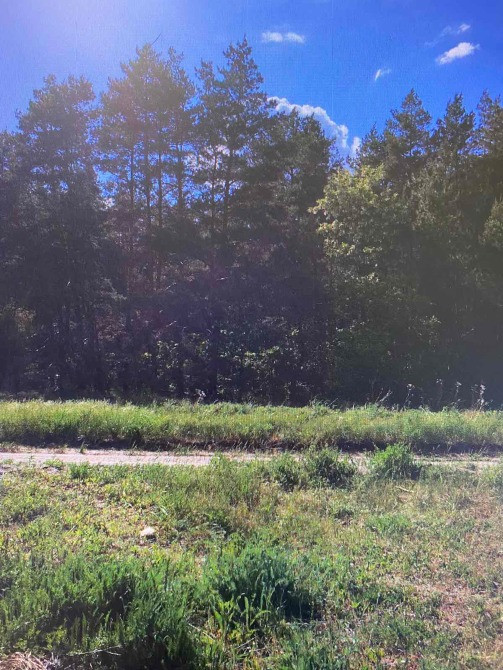 Пропоную купити ділянку в селі Бабайківка вул. Лісова. Дніпро - зображення 1