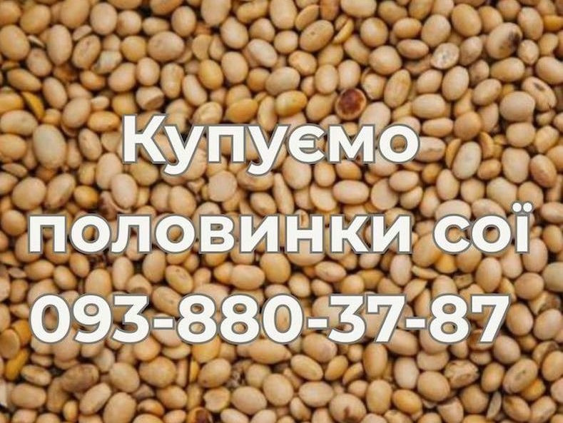 Купівля половинок сої на постійній основі Львов - изображение 1