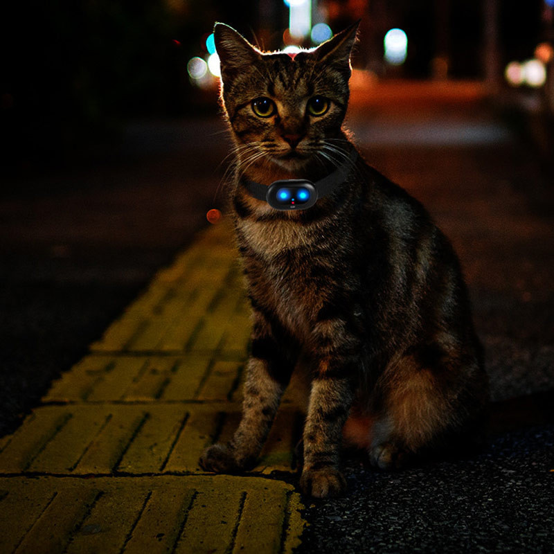 Трекер GPS для животных V41 Pet Tracker SIM (4GLTE+3GWCDMA+2GGSM) 1300mAh Херсон - изображение 8