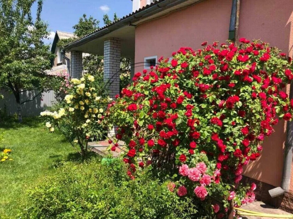 Продаж будинку 140 м2 в Святошинському р-ні, метро Житомирська. № 2211702 Киев - изображение 3