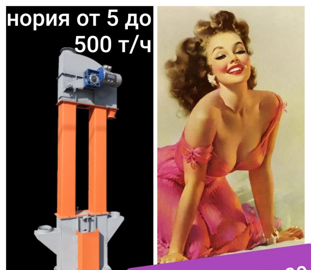 Нория ковшевая 250 т/ч , запчасти Киев - изображение 1