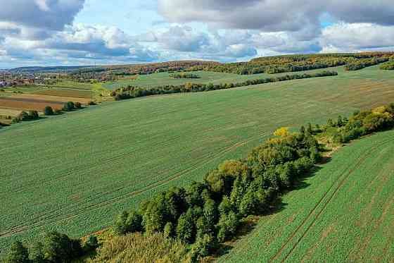 продажа земля сельскохозяйственного назначения Львов, Новый Роздол, 162000 $ Новий Розділ