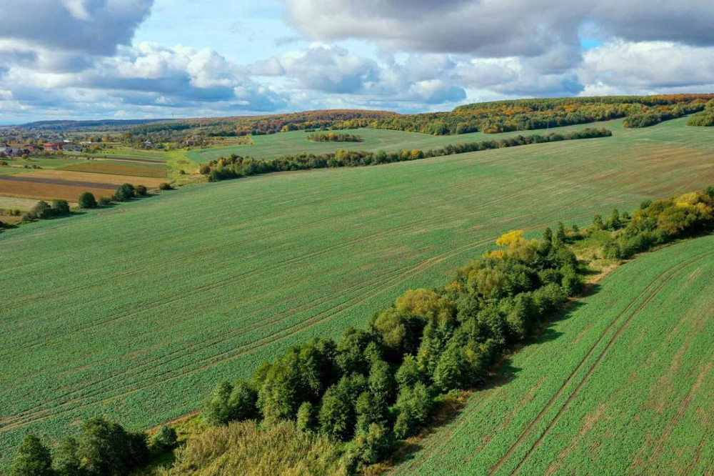 продажа земля сельскохозяйственного назначения Львов, Новый Роздол, 162000 $ Новий Розділ - зображення 2