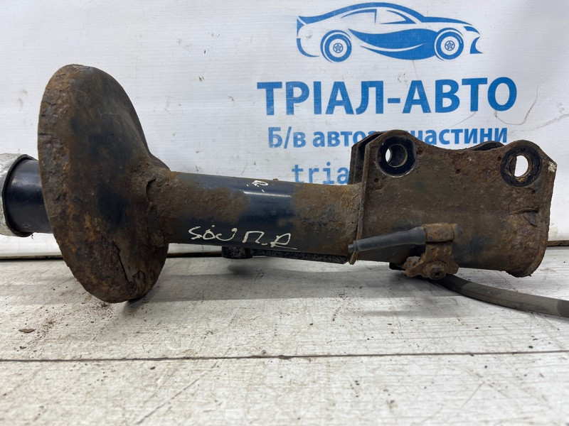 Амортизатор передний правый Suzuki Grand Vitara JT 2.0 БЕНЗИН J20A 2005 (б/у) Киев - изображение 3