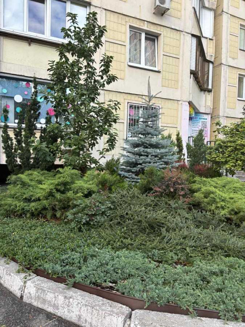 продажа 1-к квартира Киев, Голосеевский, 65000 $ Київ - зображення 11