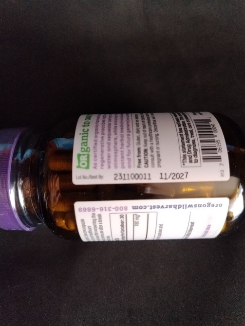 Полынь горькая, wormwood Дніпро - зображення 2